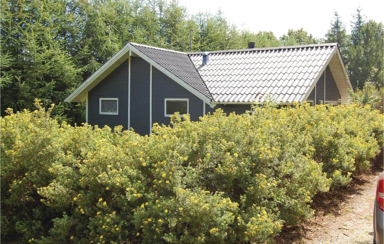 Pet Friendly Home In Oksbol With Wifi Kültér fotó
